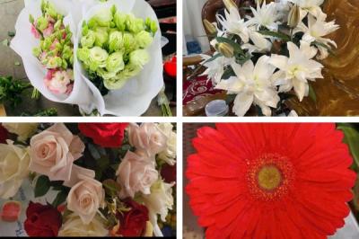 Top 5+ loại bông cúng đầy tháng | ý nghĩa của từng loại bông